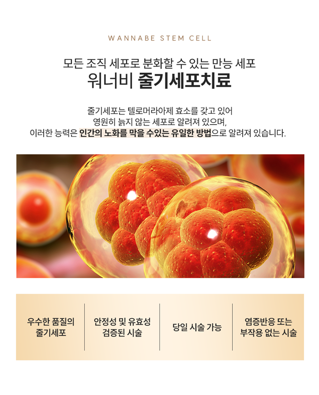 워너비 줄기세포치료 - 모든 조직 세포로 분화할 수 있는 만능 세포, 줄기세포는 텔로머라아제 효소를 가지고 있어 영원히 늙지 않는 세포로 알려져 있으며, 이러한 능력은 인간의 노화를 막을 수 있는 유일한 방법으로 알려져 있습니다.