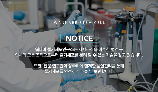 워너비 줄기세포연구소 - 지방조직을 비롯한 혈액 등 인체의 모든 조직으로부터 줄기세포를 분리 할 수 있는 기술을 가지고 있습니다. 또한, 전문 연구원이 상주하여 철저한 품질관리를 통해 줄기세포를 안전하게 추출 및 보관합니다.